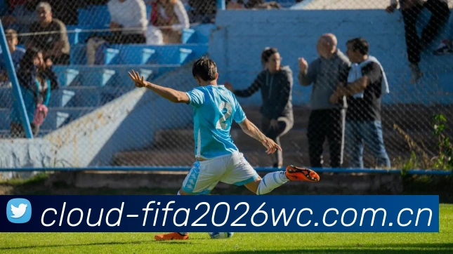 FIFA官方授权证书